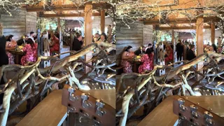 Woman Sings Pokémon’s Opening Song At Wedding Reception; Guests’ Excited Reactions Win Internet | Viral Video